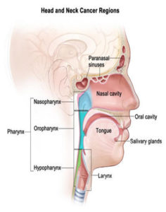 ENT Surgeon in Kolkata